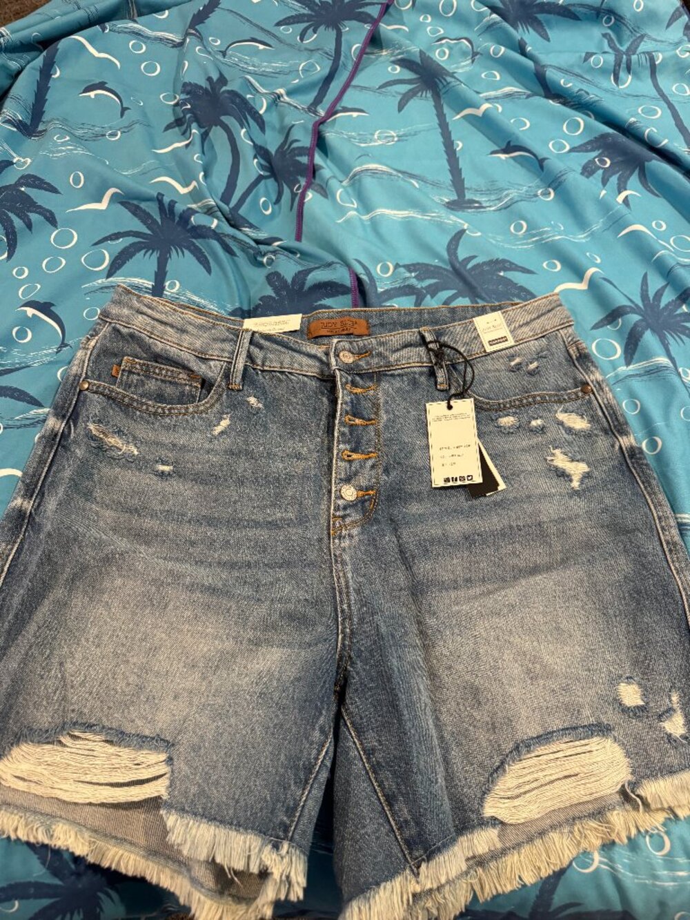 Judy Blue shorts 2XL
